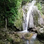 L'oliveto 3* Cineto Romano