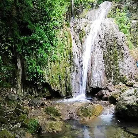 L'oliveto 3* Cineto Romano