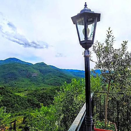 Hotel L'oliveto