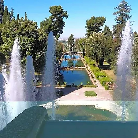 L'oliveto