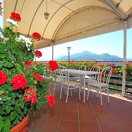 L'oliveto 3*
