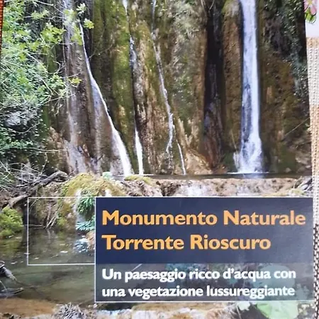 L'oliveto 3*
