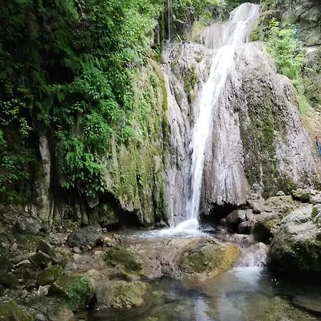 L'oliveto 3* Cineto Romano